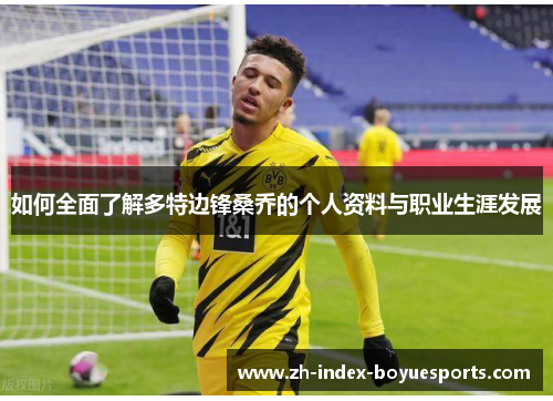 如何全面了解多特边锋桑乔的个人资料与职业生涯发展