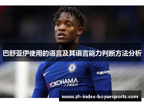 巴舒亚伊使用的语言及其语言能力判断方法分析 巴舒亚伊使用的语言及其语言能力判断方法分析