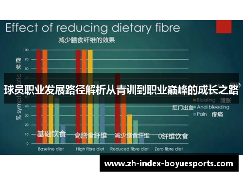球员职业发展路径解析从青训到职业巅峰的成长之路