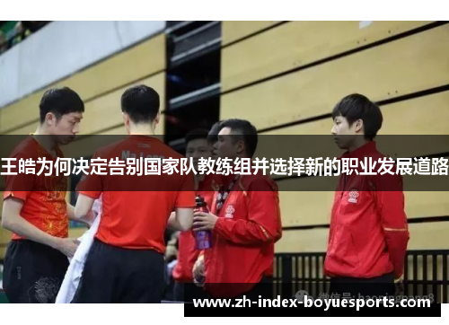 王皓为何决定告别国家队教练组并选择新的职业发展道路